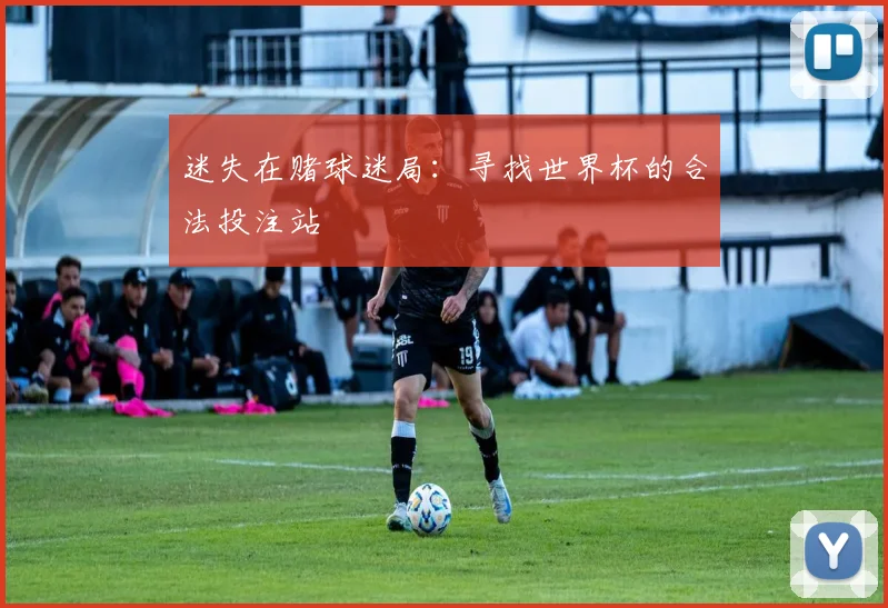 迷失在赌球迷局：寻找世界杯的合法投注站